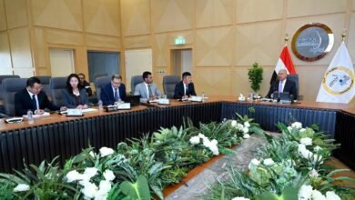 مشروع-صيني-ضخم-في-مصر-لإنتاج-10-ملايين-طن-بإستثمارات-تصل-إلى-10-مليارات-دولار